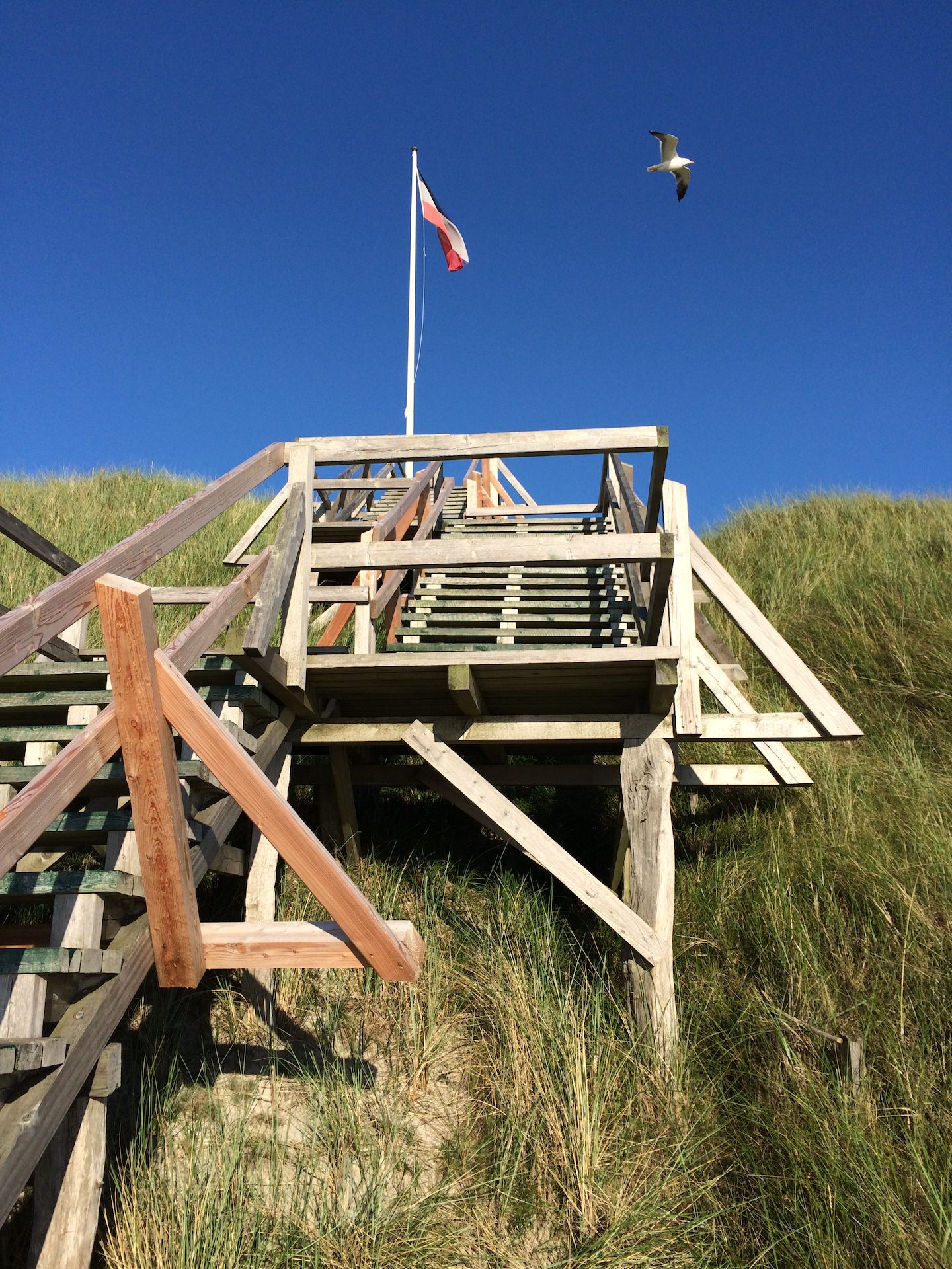 Willkommen auf Amrum